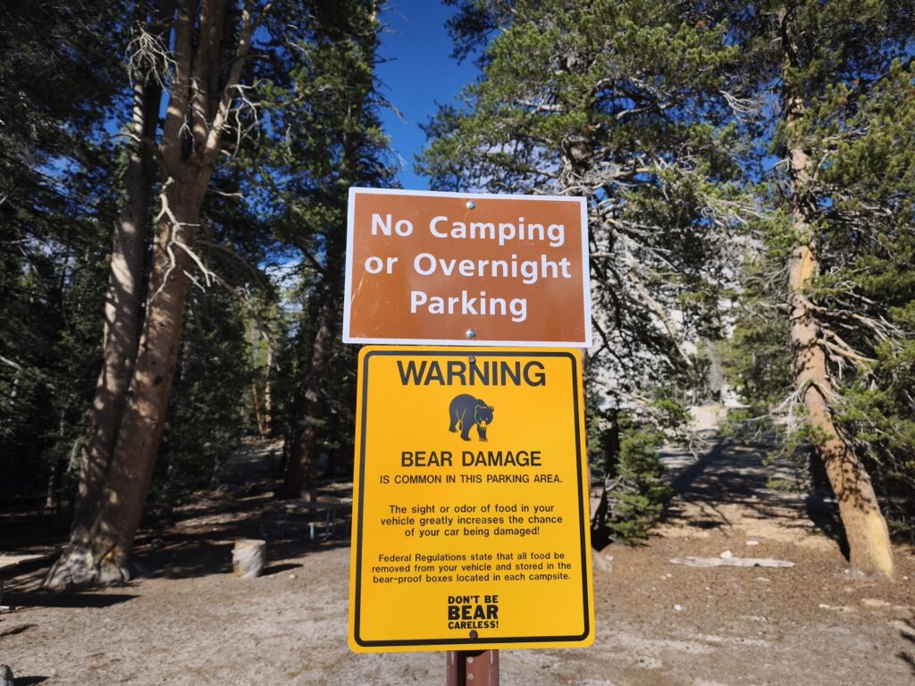 warning bear damage