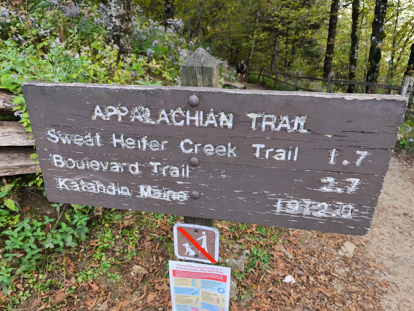 Appalachian trail